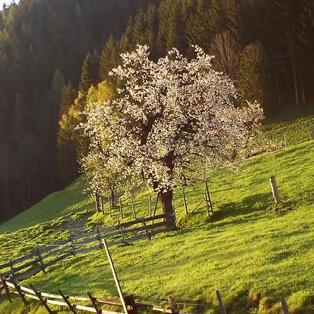 Apartamento Greti Schladming