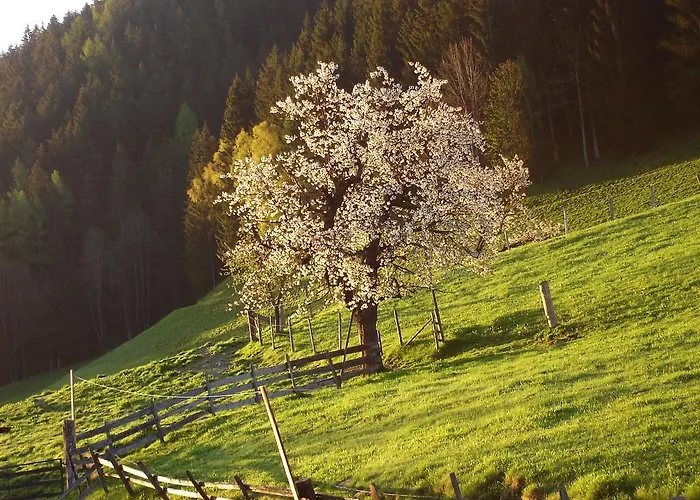 Apartment Greti Schladming